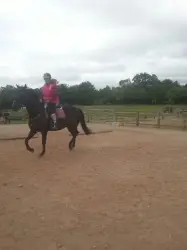 Sychdyn Riding Centre