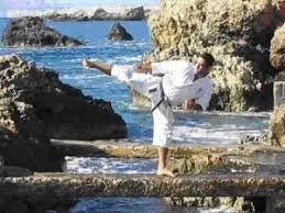 Healey Karate Club - Bukonkai Karate