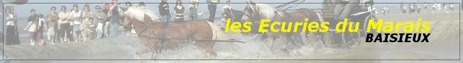 ECURIES DU MARAIS