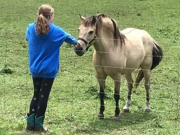 H&H Ranch