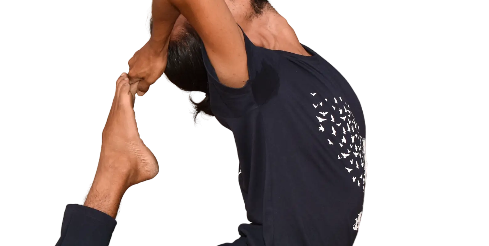 Sanskriti Yogashala - Online Hatha Yoga Class