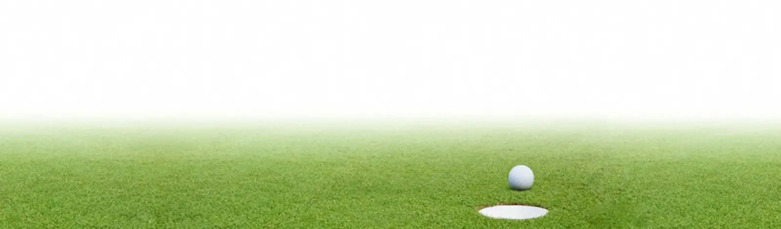 Torkos Brothers Inc / TNT Golf