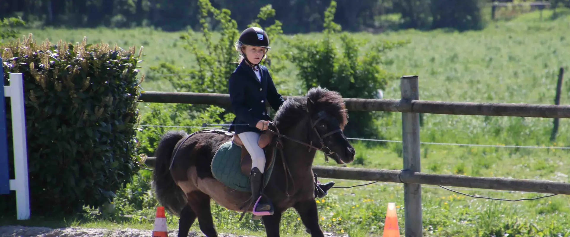 Montgeron Equitation