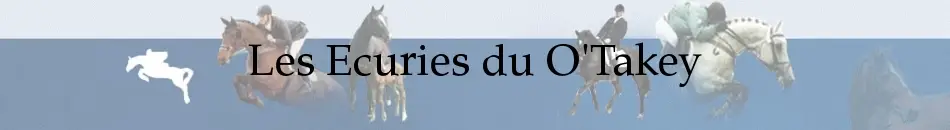 Les Ecuries Du O'takey