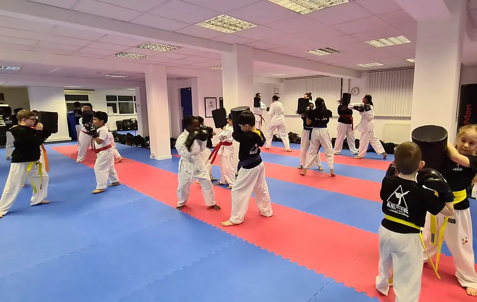 Leeds South AEGIS Martial Arts