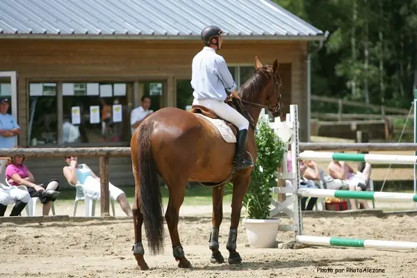 CSADN SECTION EQUITATION