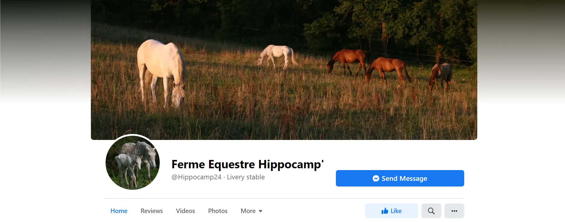 Farm Equestre Hippocamp'