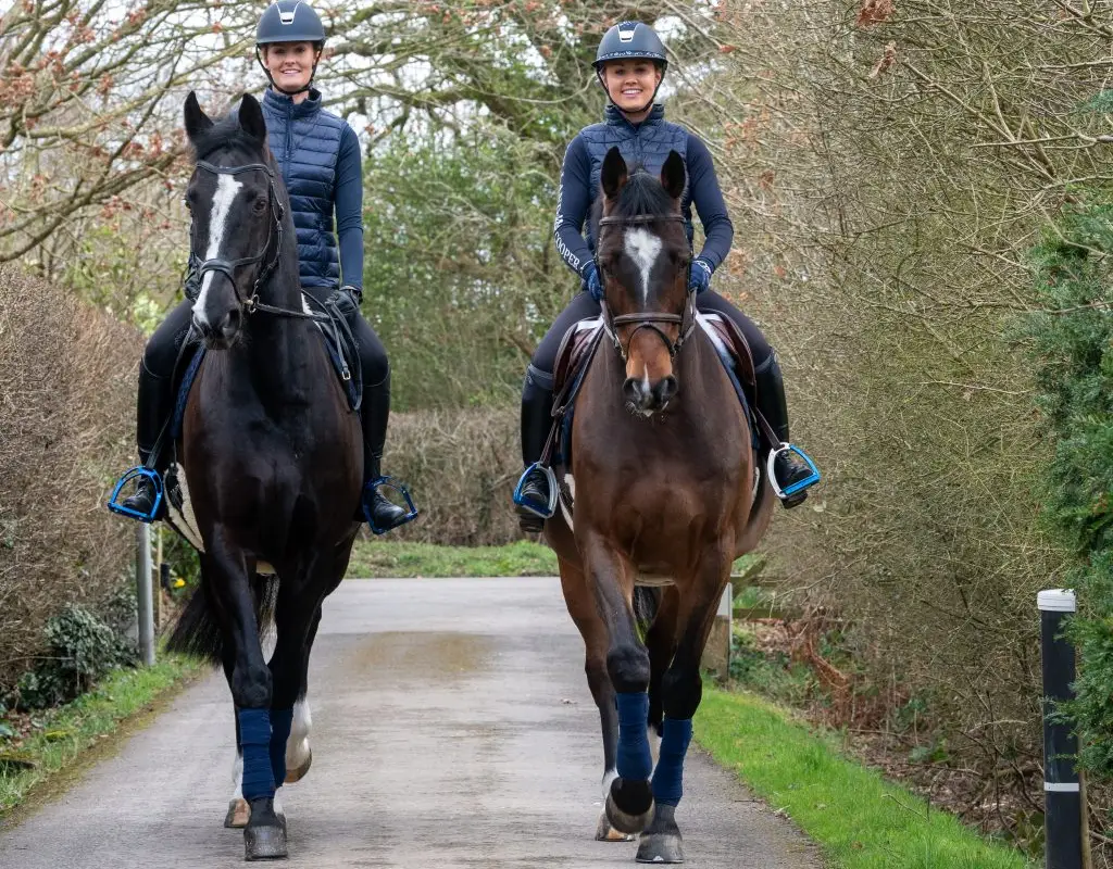 Little Brook Equestrian