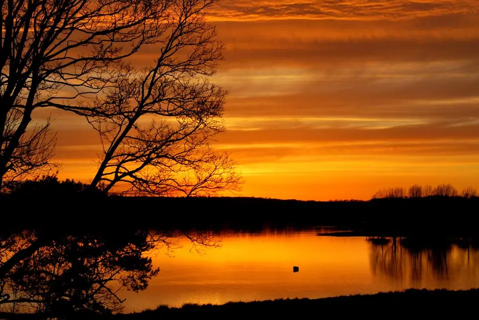 Rutland Water Fly Fishing