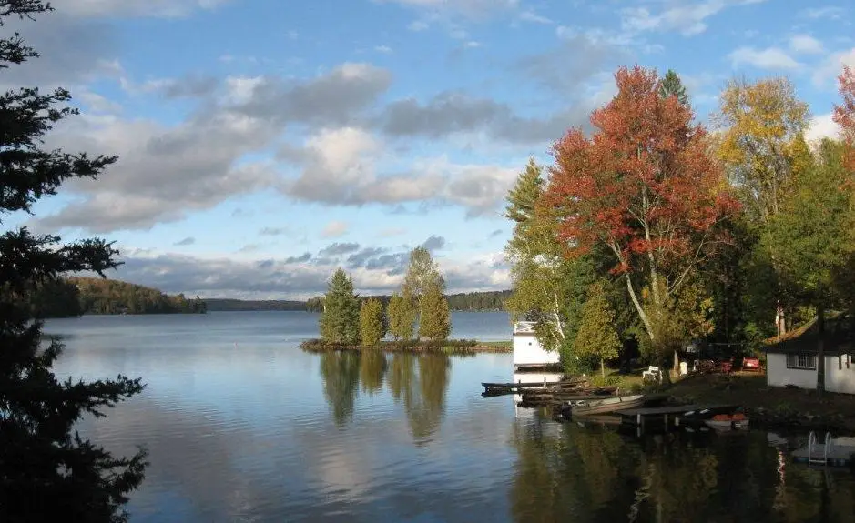 Cedar Grove Cabins