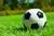Thorold Soccer Club