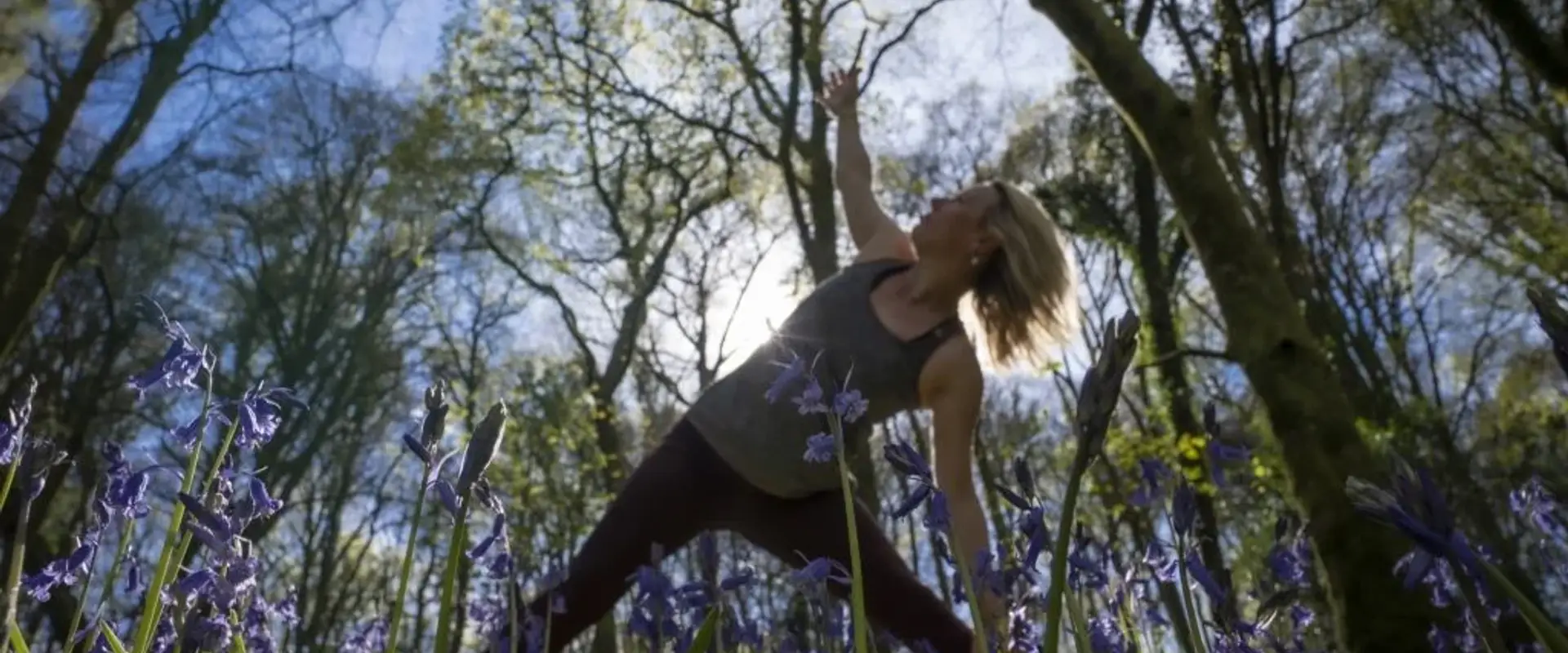 Forest Retreats