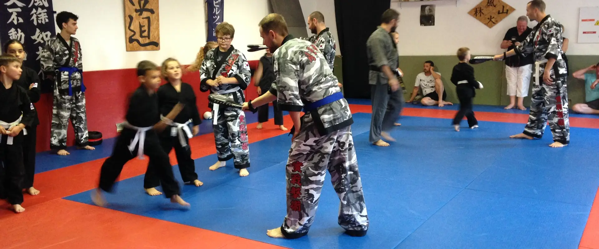 Kyeok Sul Do Martial Arts Mixtes Coréens