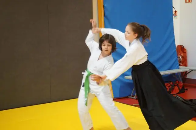 Aikikai De Poisy
