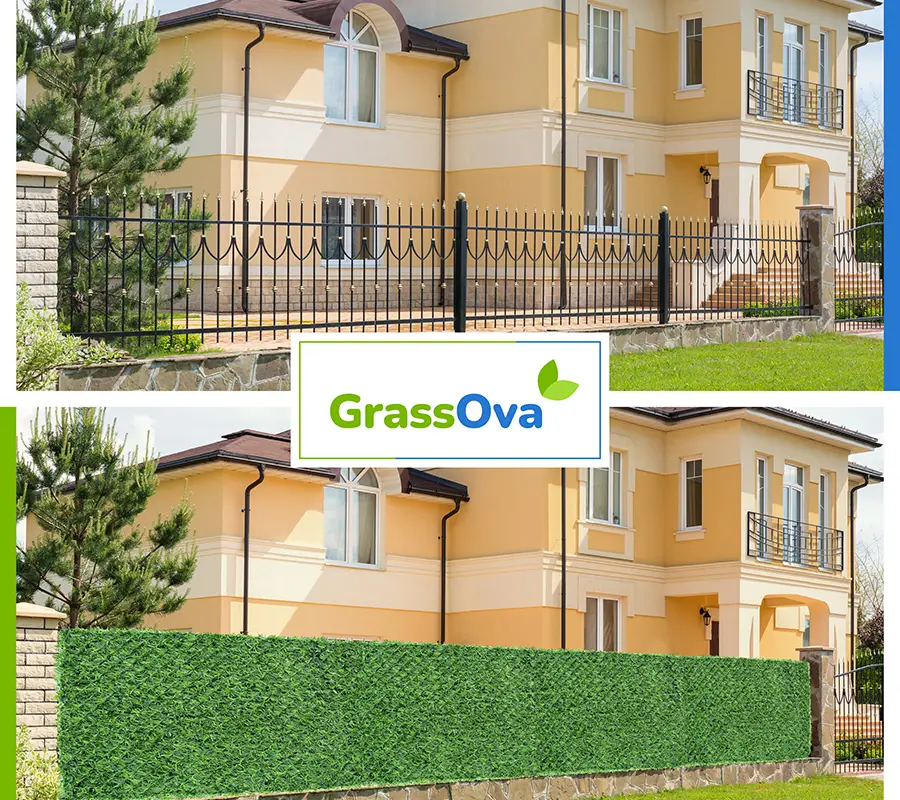 Grassova Inc.