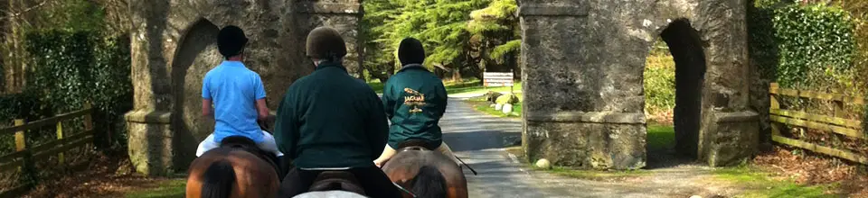 Mourne Trail Riding Centre