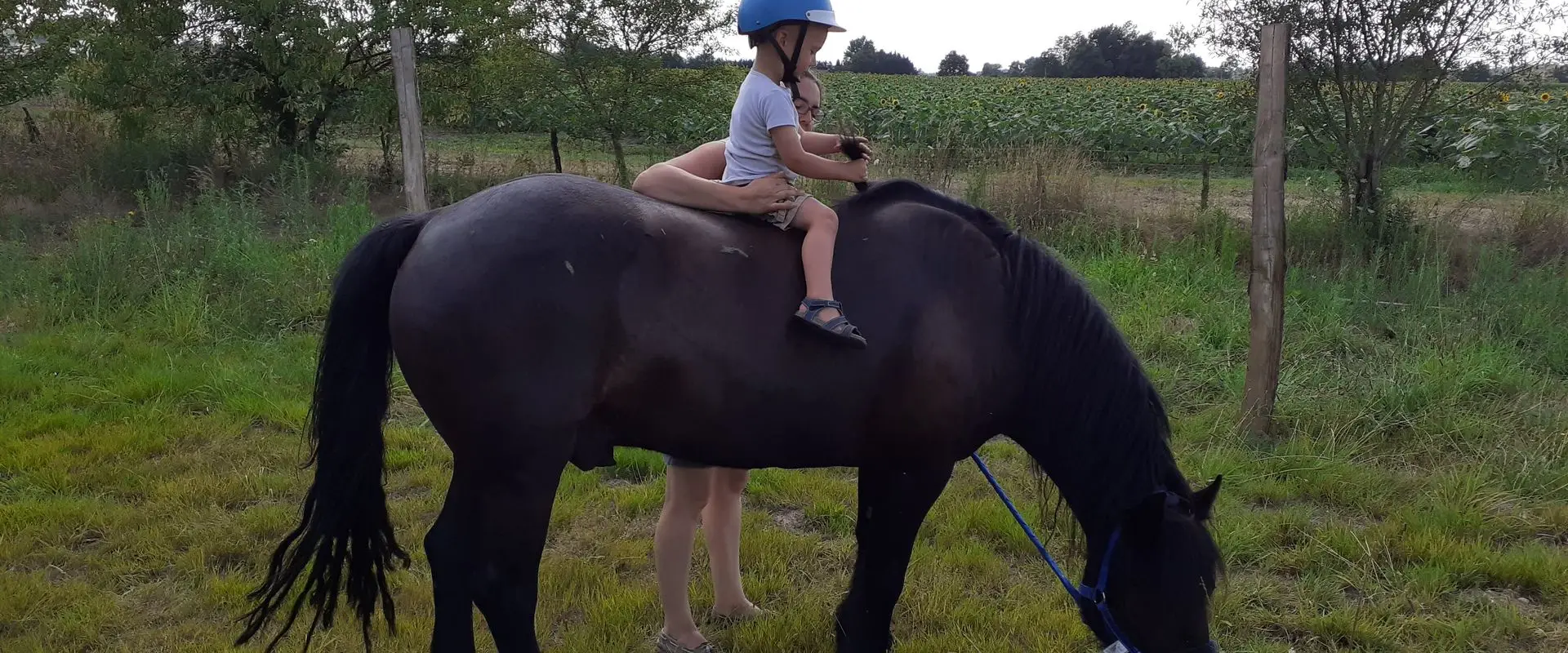 Landes Equicie