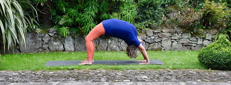 kathryn Carlisle Yoga