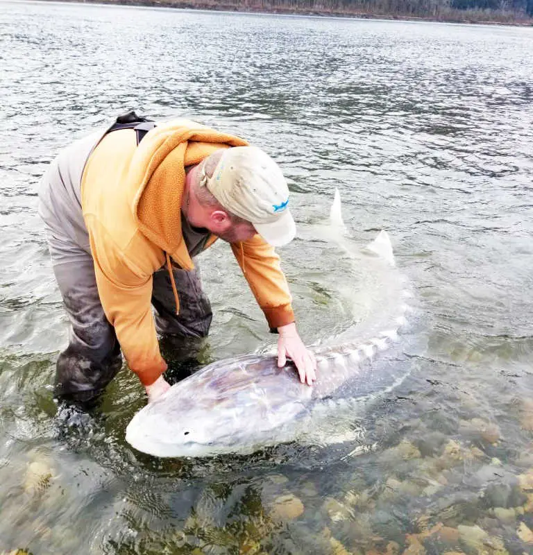 Big Valley Sportfishing Adventures