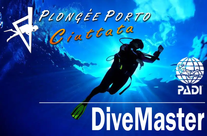 Porto Plongee