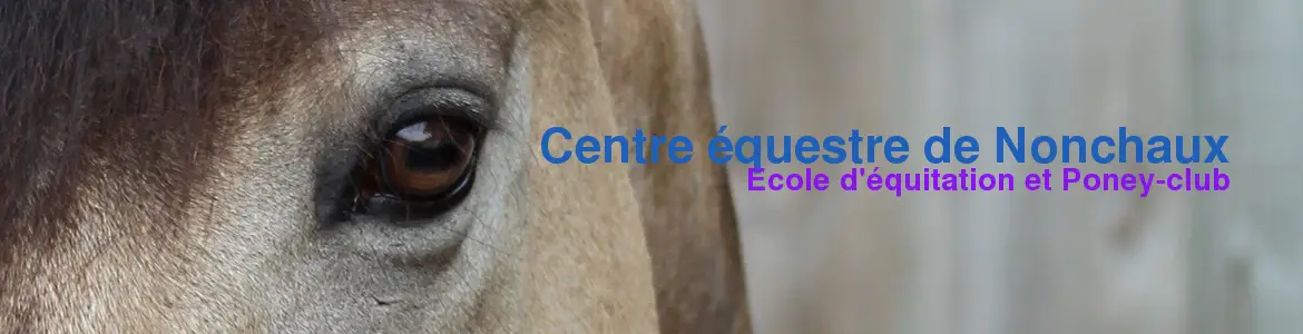 Centre Equestre