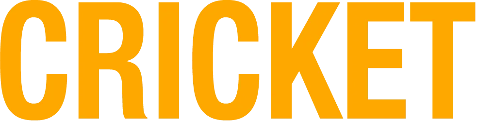 N1 cricket academy