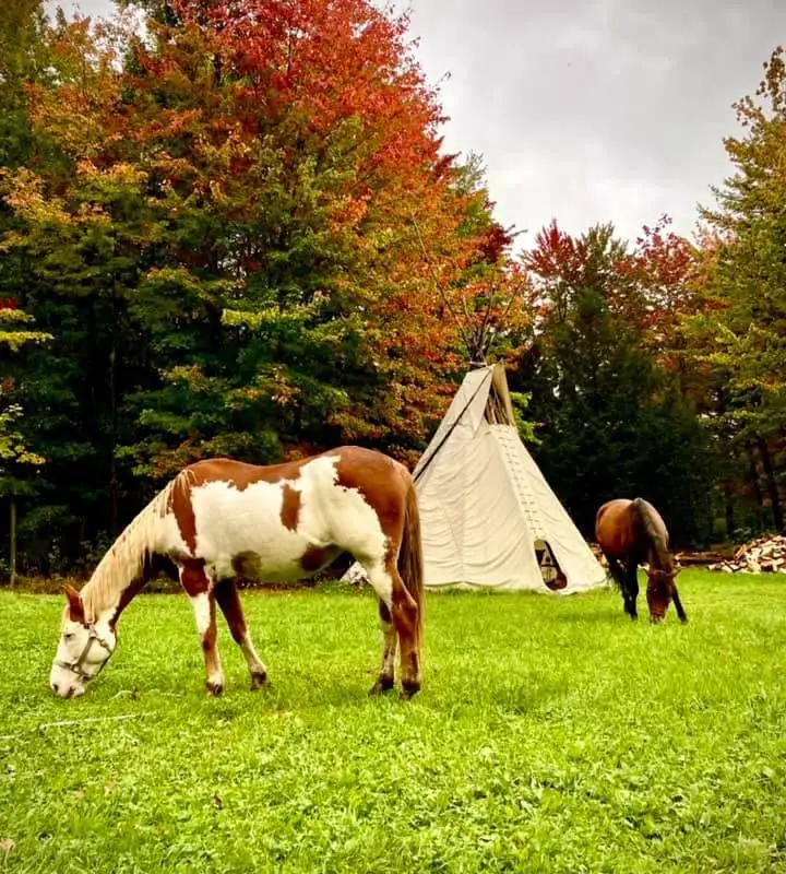 Ranch Au gr du vent