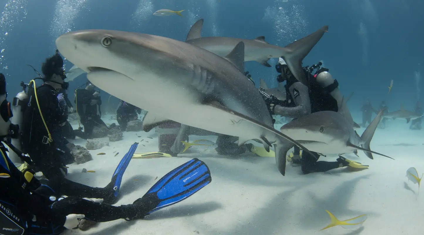 Rui Diving Centre |
