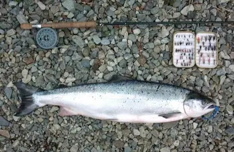 Culfin Fishery