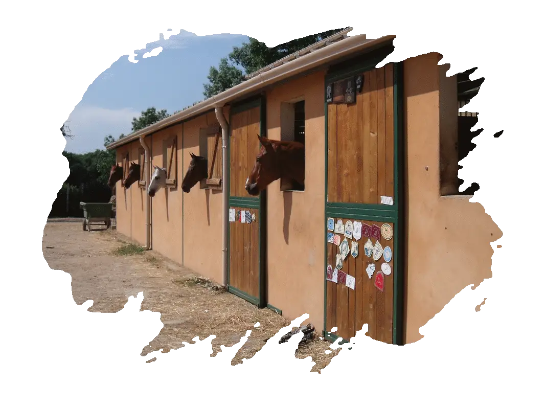 CLUB HIPPIQUE DU PORTAIL VERT