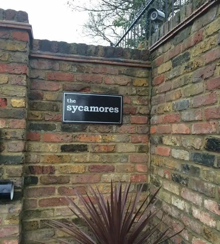 The Sycamores Swim School