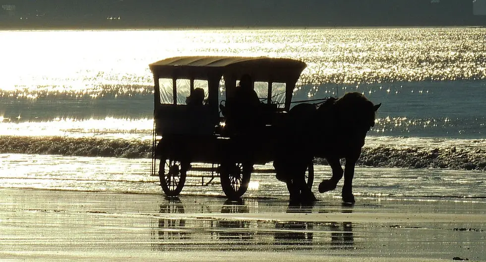 Les Chevaux de la Mer