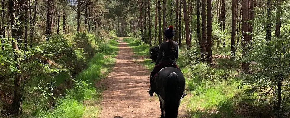 Eastmoors Riding School and Livery