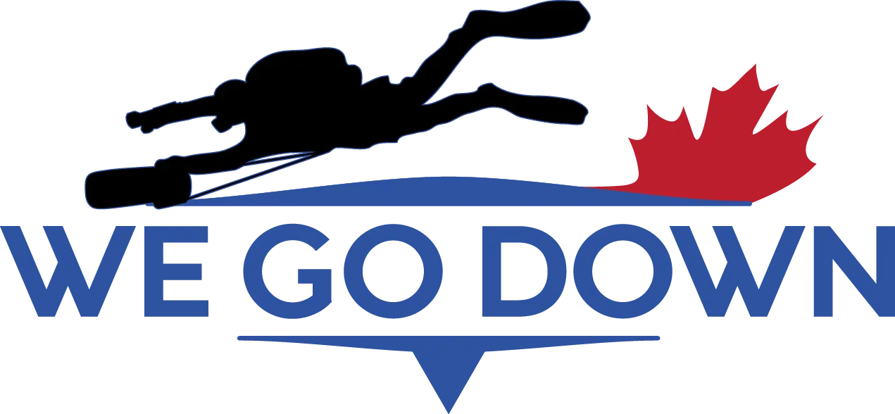 WeGoDown