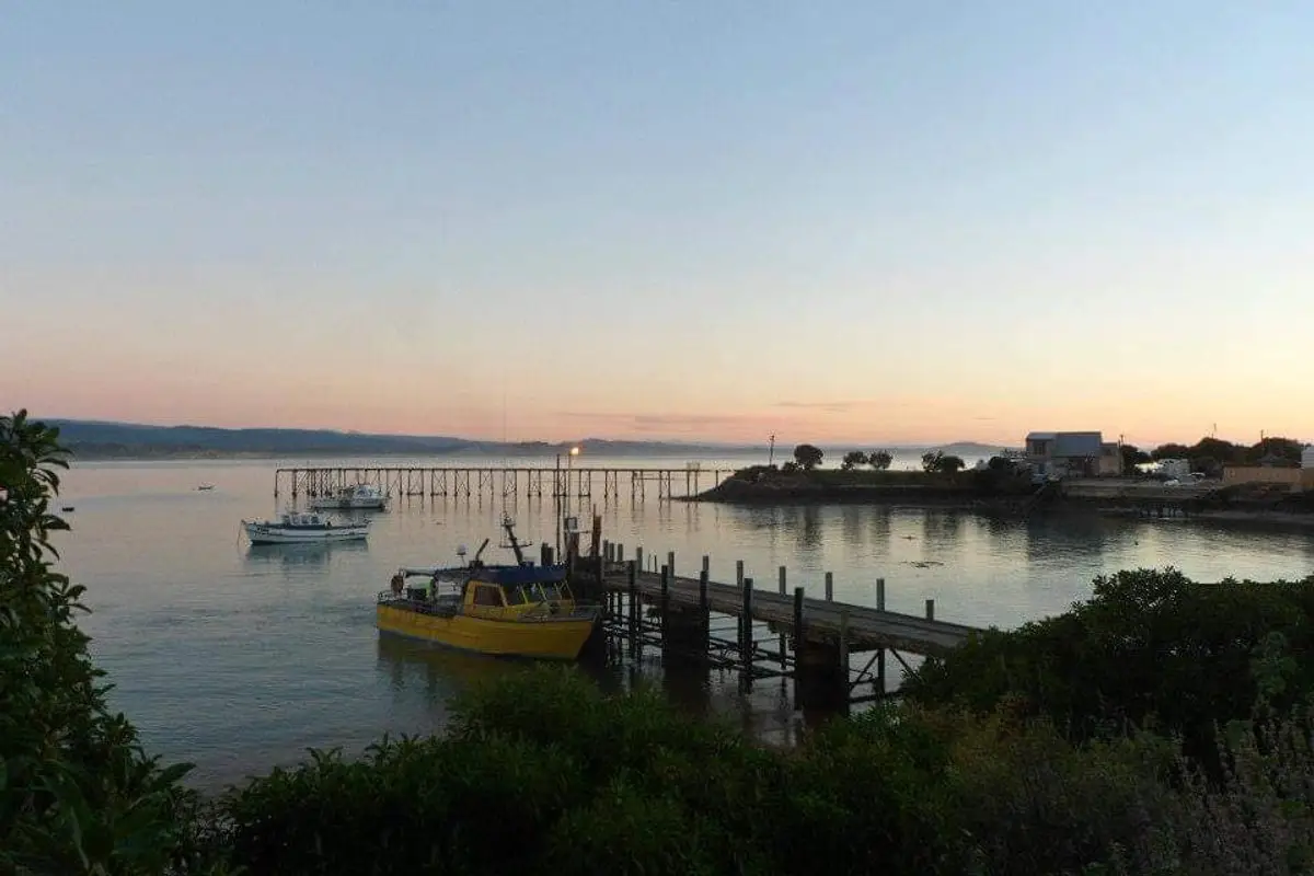 Moeraki Fishing Charters