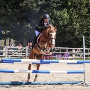 Le Haras Du Cercle