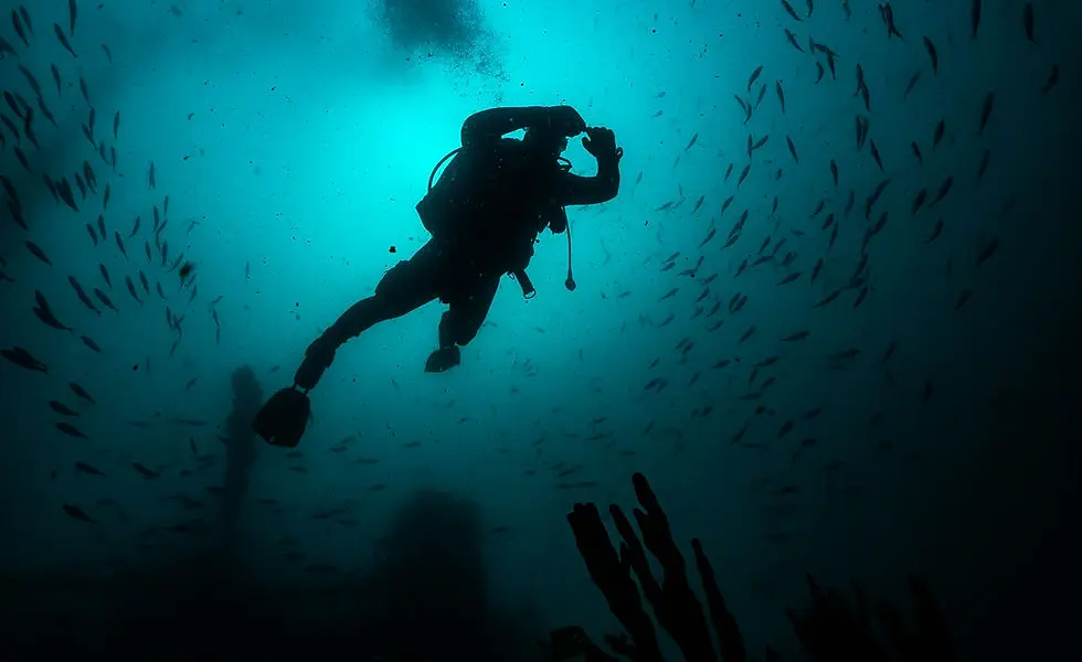Tasmanian Divers - North
