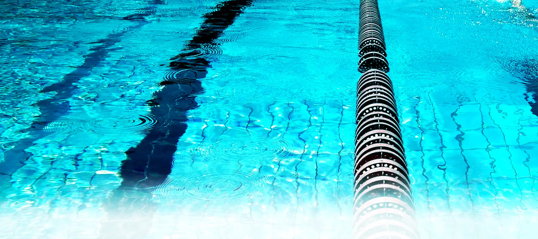 CAAA activités aquatiques Argelésiennes