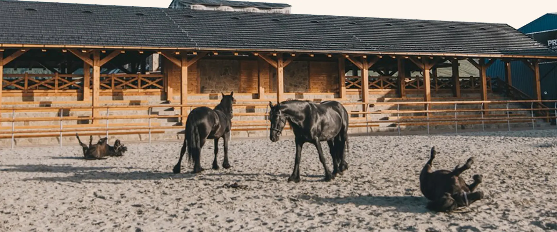 Nestville Horses