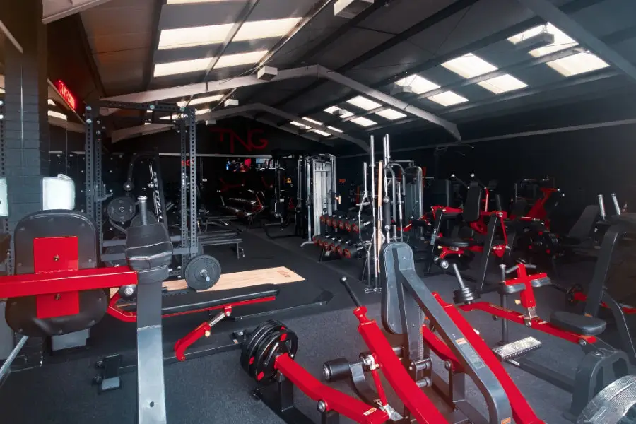 Train N Gain