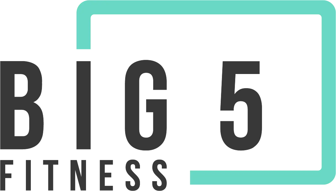 Big 5 Fitness