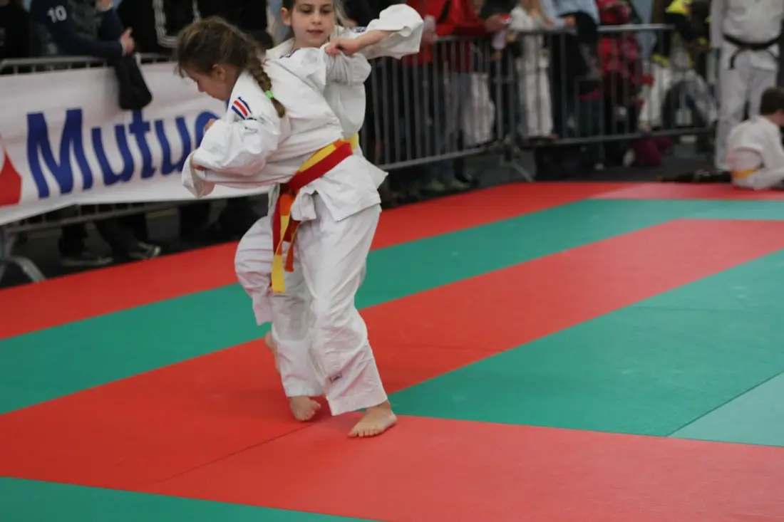 Cape Judo Espoir Treillières