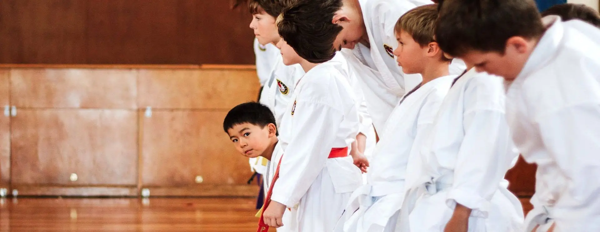 Shotokan Karate Hawkes Bay