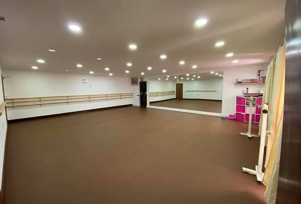 Norfolk Institute of Performing Arts