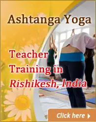 HealthAndYoga.com