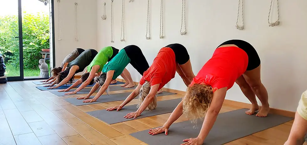 Graine De Yoga
