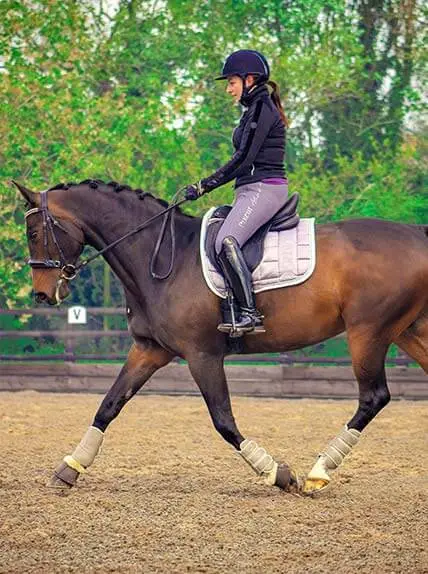 Pickering Grange Equestrian