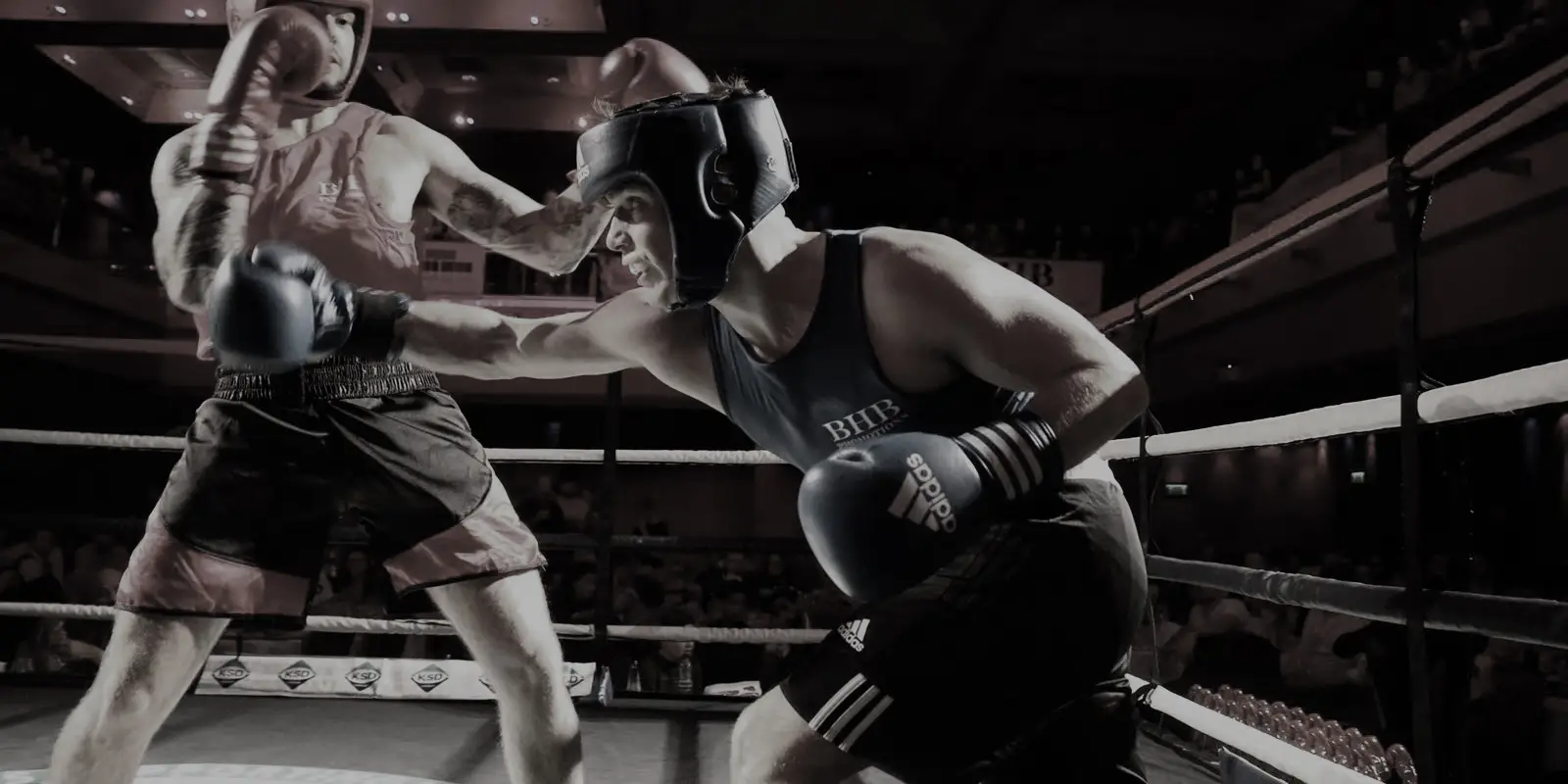Brighton & Hove Boxing Gym