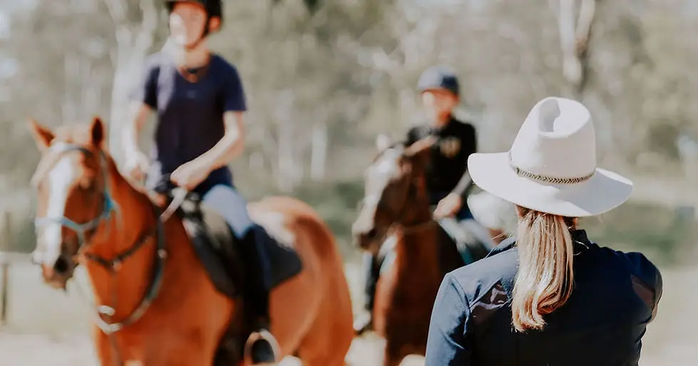 Equine Intelligence