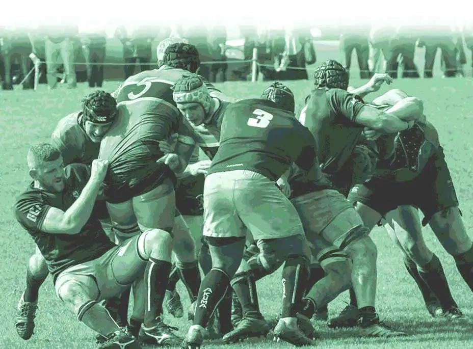 Drybrook Rugby Football Club